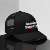 Bernie Sanders for President 2025 Hat