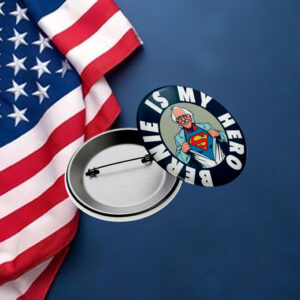 Bernie is My Hero Button