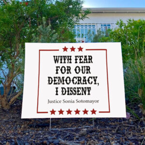 Democracy, With Fear For Our Democracy Yard Sign