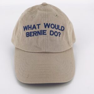 What Would Bernie Do? Hat