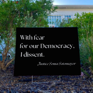 With Fear for our Democracy I Dissent Yard Sign