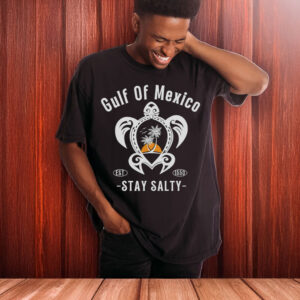 Gulf-of-Mexico-Turtle-Shirt-–-Stay-Salty-Retro-Tee-US